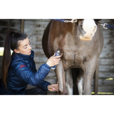 Máquina de Tosquia S/ Fios WAHL "Eclipse"