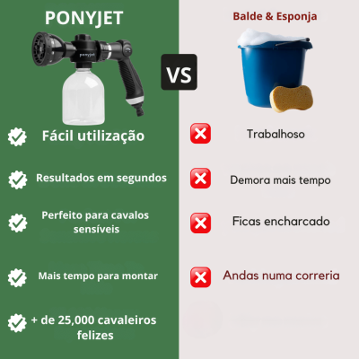 Pistola de Lavagem PONYJET 3.0