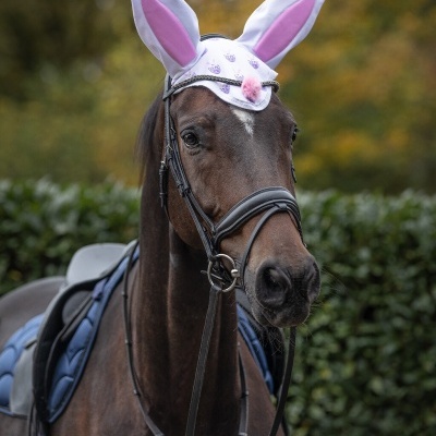 Orelheiras de Páscoa QHP Easter Bunny