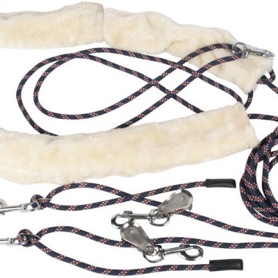 Sistema de Trabalho no Plano HARRY'S HORSE