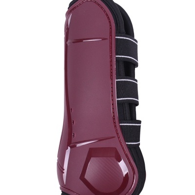 Caneleiras QHP "Champion"