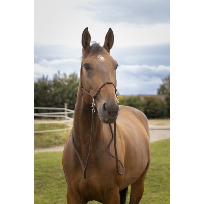 Cabeção Natural c/ Rédeas NORTON