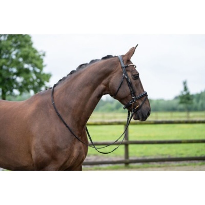 Cabeçada de Bridão HKM "Kopenhagen"