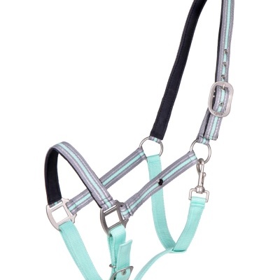 Cabresto para cavalo azul turquesa e cinzento com fivelas metálicas