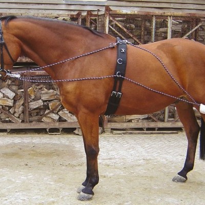 Sistema de Trabalho no Plano HARRY'S HORSE