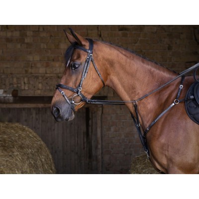 Peitoral ERIC THOMAS HYBRID