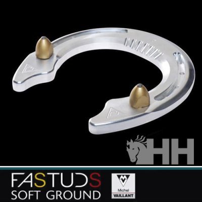 Pitons VAILLANT Fastuds SG 13