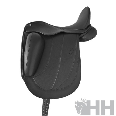 Selim de Dressage LEXHIS Nour