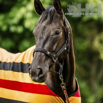 Cabeção + prisão HORSEWARE Newmarket