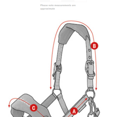 Cabeção + Prisão LEMIEUX Vogue