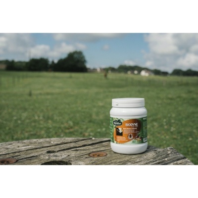 Suplemento Biodyne RAVENE