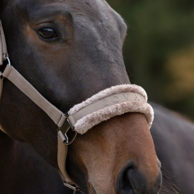 Cabeção COVALLIERO