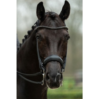 Cabeçada de Freio-bridão HKM "Grace"