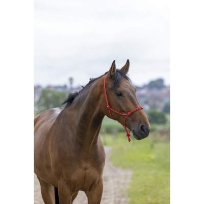 Cabeção de Corda Natural "Fin" RIDING WORLD