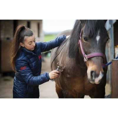 Máquina de Tosquia S/ Fios WAHL "Eclipse"