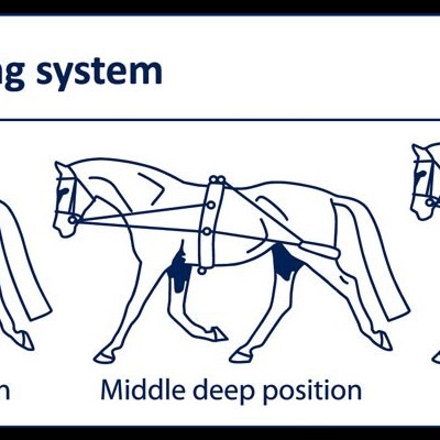 Sistema de Trabalho no Plano HARRY'S HORSE
