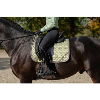 Suadouro HKM "Golden Bit"