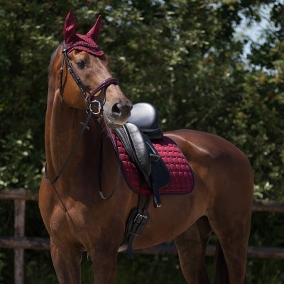 Orelheiras QHP "Florence"