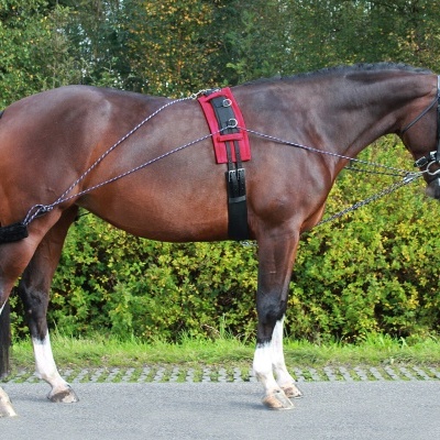 Sistema de Trabalho no Plano QHP