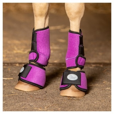 Caneleiras HARRY'S HORSE "Tiny"