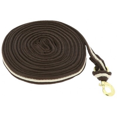 Guia de Trabalho NORTON