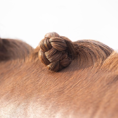 Stick de Cera p/ Entrançar QHP