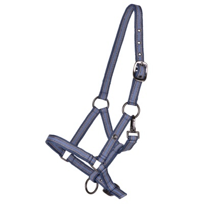 Cabeção p/ Poldro QHP Yearling Collection S25