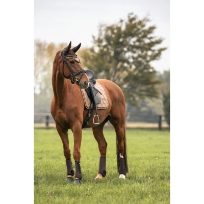 Suadouro BACK ON TRACK "Haze Collection"