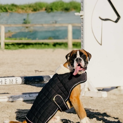 Capa para Cão EQUITHÈME 'Je T'aime'