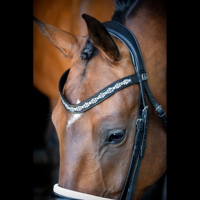 Cabeçada de Bridão SD DESIGN "Millenium"