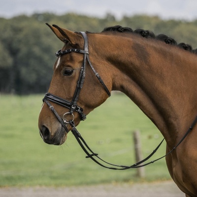 Cabeçada de Bridão HORKA "Flamingo"