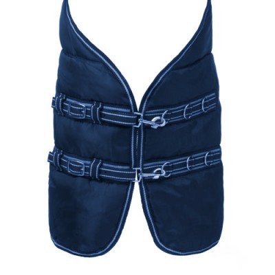 Cobrejão HH Parana Boxe