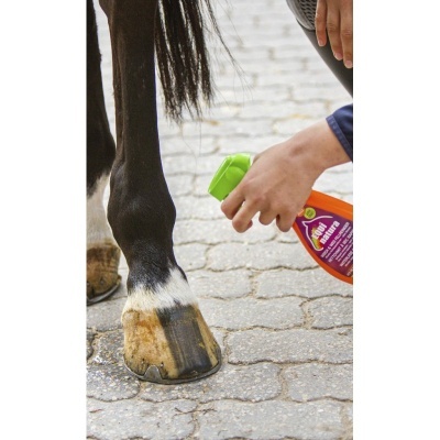 Limpador de Pelagem Express EQUINATURA