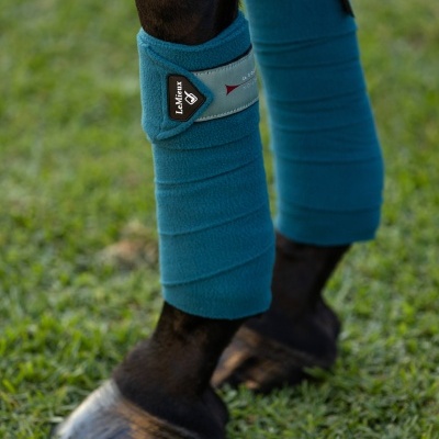 Conjunto de Dressage LEMIEUX Loire Classic