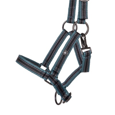 Cabeção p/ Poldro QHP Yearling Collection S25