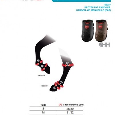 Protectores de Boleto ZANDONÀ Carbon Air