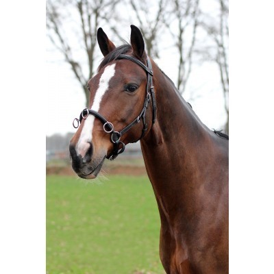 Serrilhão em Couro HORKA