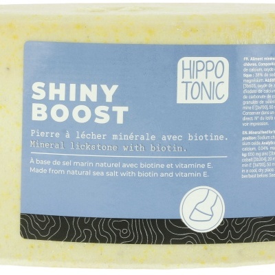 Pedra de Sal HIPPOTONIC "Shiny Boost"