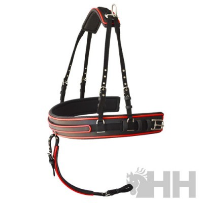 Arreio de Engate LEXHIS Hanover Nylon/PVC c/ Peitoral