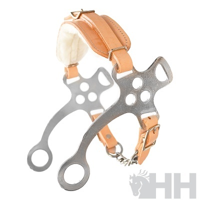 Hackamore Curto HH