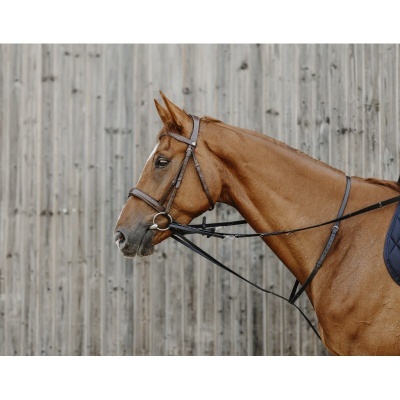 Chambón NORTON PRO "Thiedeman"