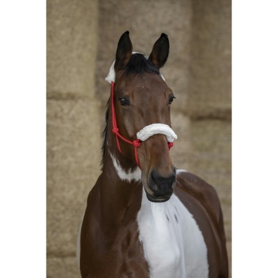 Cabeção de Corda NORTON Forrado de Borrego