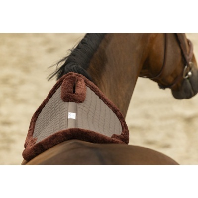 Protector de Dorso c/ Garrote Recortado EQUITHÈME "Confort"