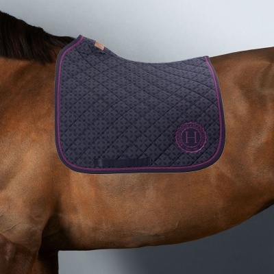 Suadouro de Dressage HARCOUR Altesse 'W25'