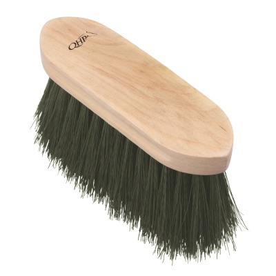 Cardoa Cerdas Compridas QHP 'Color'