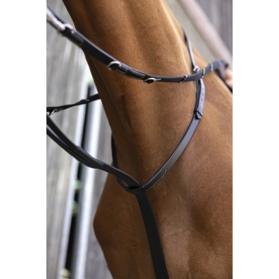 Chambón NORTON PRO "Thiedeman"