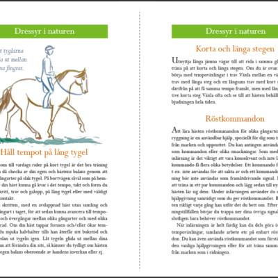Livro Creative Riding in Nature (Sueco)