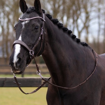 Cabeçada Bitless QHP "Sunna"