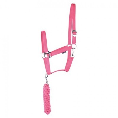 Cabeção + prisão HARRY'S HORSE "Initial"