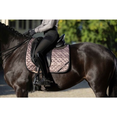 Suadouro HKM "Golden Bit"